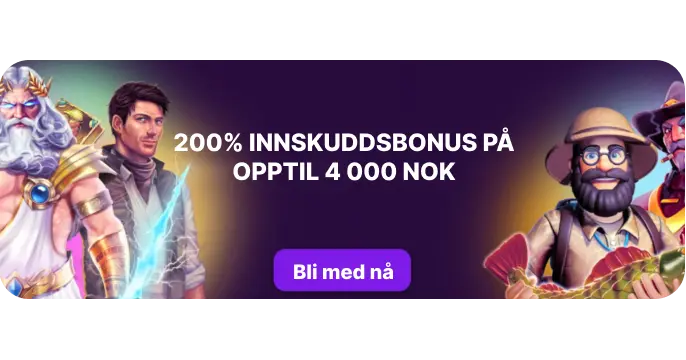 Puntit NO
